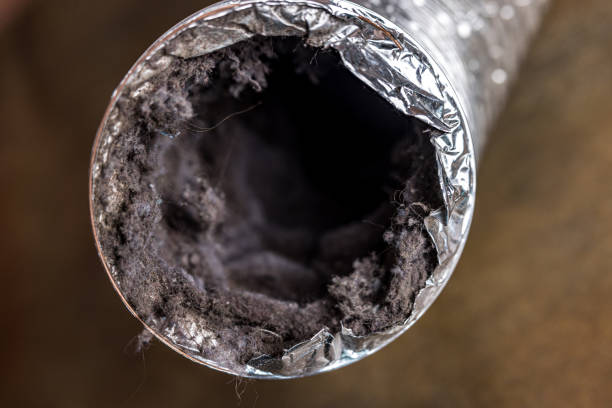Best HVAC System Cleaning  in Mundys Corner, PA