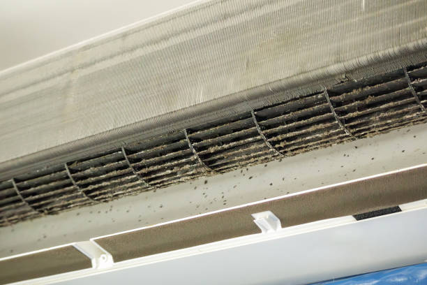Best HVAC Air Duct Cleaning  in Mundys Corner, PA